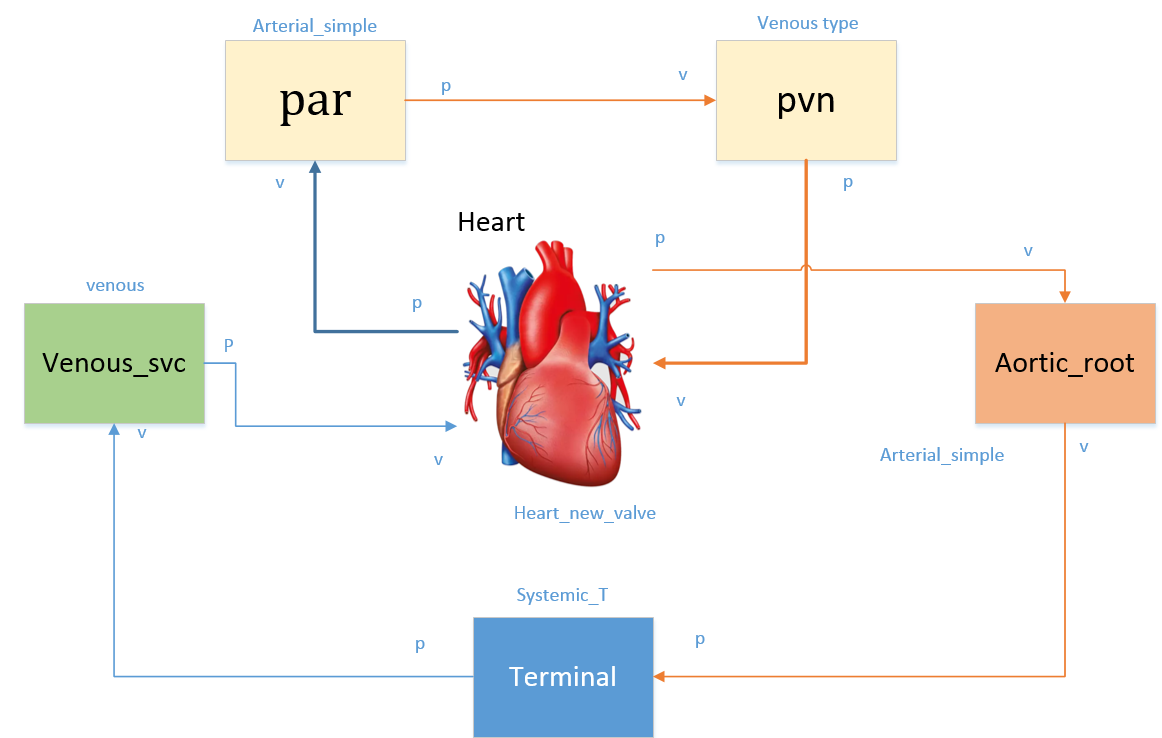 Simple Model of Cardiovascular System
